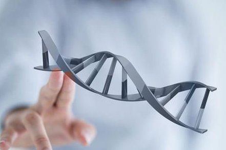 有哪些机构可以三代试管婴儿？