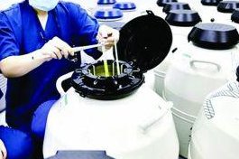 试管婴儿移植费用多少钱？